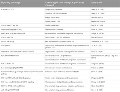 Exploring the multifaceted role of direct interaction between cancer cells and fibroblasts in cancer progression